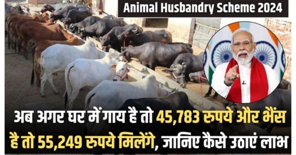 Apply Animal Husbandry Scheme