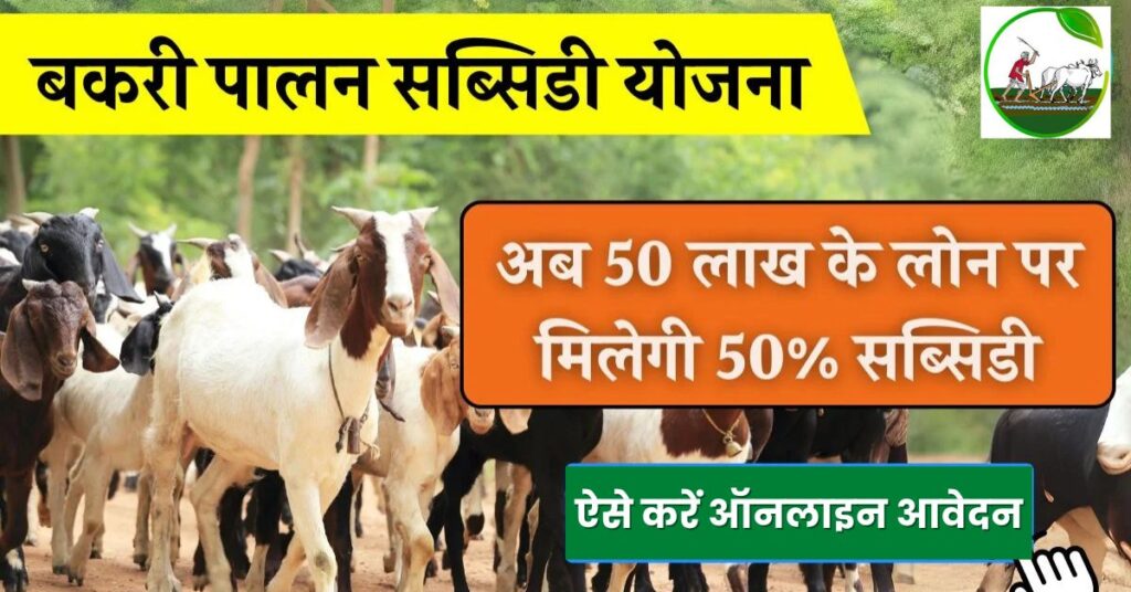 Goat Farming Loan Scheme